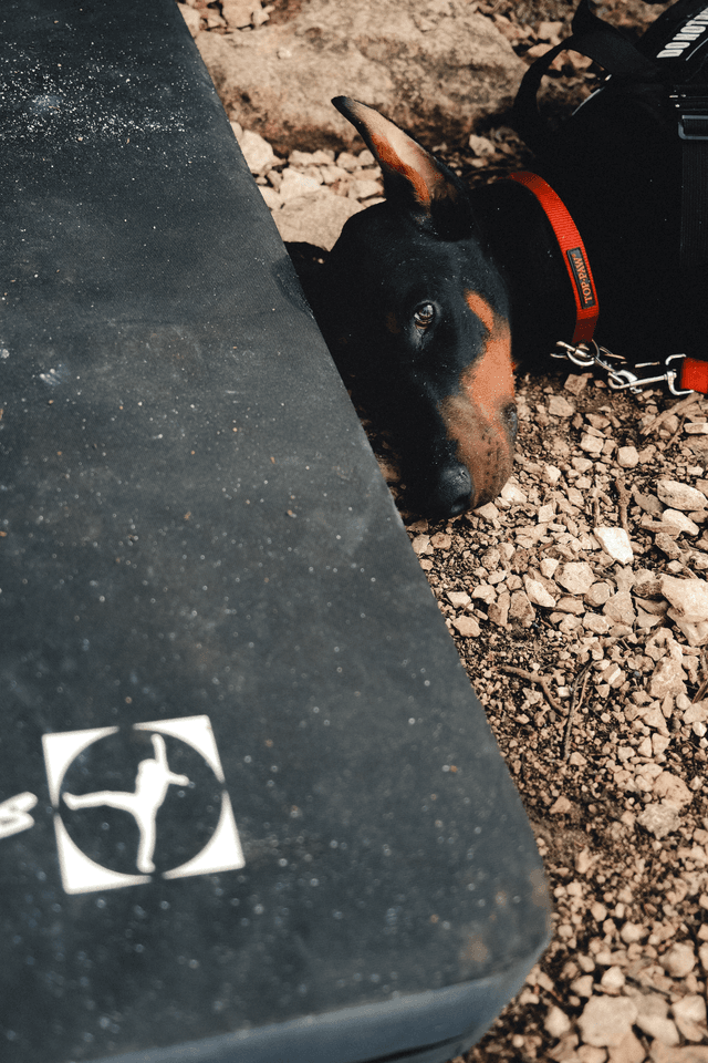 Crux chalk portfolio work