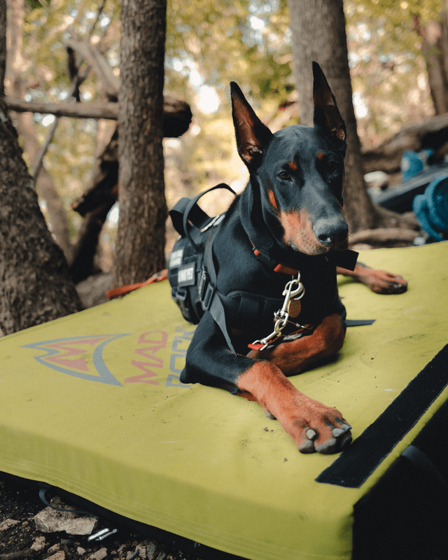 Crux pad portfolio work